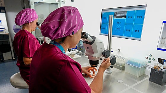 Would you clone your pet? Laboratory in Marbella makes it possible with prices starting from 55,000 euros