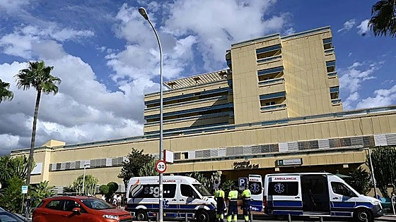 Taxi driver helps save foreign man's life after pedestrian struck by car on crossing in Marbella