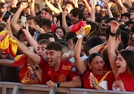 Where to watch the Euro 2024 final on big screens around Malaga province