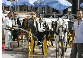 The council complains the coachmen do not maintain their facilities.