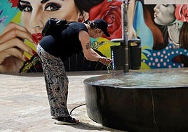 The heat and the hot terral wind, the mean features of the weekend in Malaga.