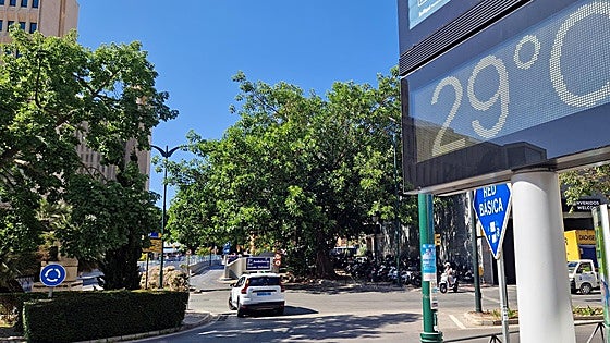 Malaga and Costa del Sol escape worst of summer heatwave that is affecting much of Spain