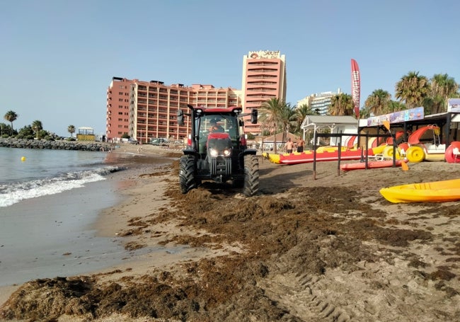 Machinery cleaning the beach.