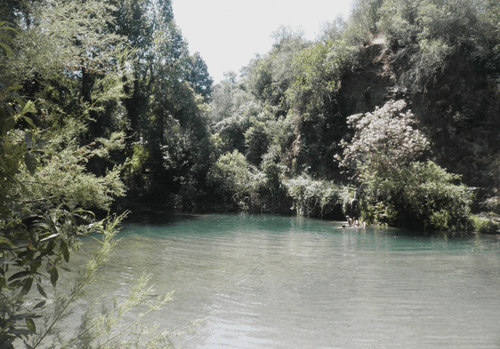 Five natural bathing spots in Malaga province that can easily be reached by road