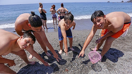 Why are there no jellyfish on Granada's beaches this year?