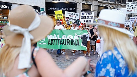 Protesters demonstrate against bullfighting in run-up to Malaga fair
