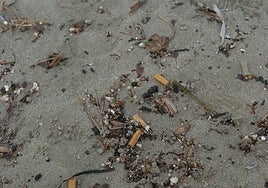 Cigarette butts on a beach