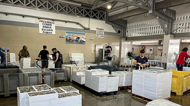 Half the fish caught off the Costa del Sol in the first half of the year was landed at Caleta de Vélez port