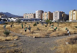 A group of volunteers from the Malaga urban forest project (BUM), during a scheduled plant watering day on 1 August.