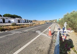 Flowers at the scene of the accident on the A-356 near Casabermeja.