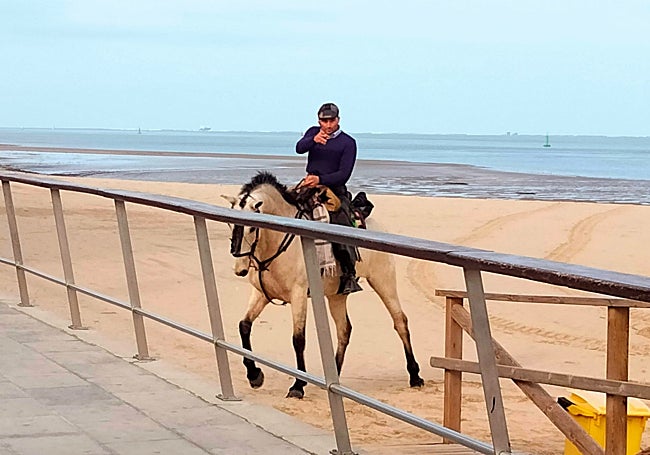 Horses can be found on the beaches of Sanlúcar all year round.