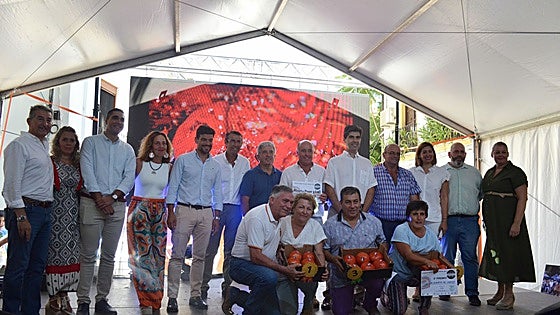 Best box of enormous 'huevo de toro' tomatoes sell for a record-breaking 6,000 euros, that's no bull