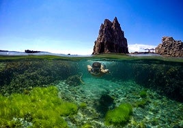 Arrecife de las Sirenas.