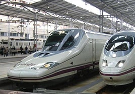 File image of AVE high-speed trains at María Zambrano railway station in Malaga.
