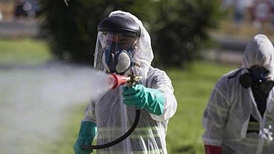 Death toll from West Nile virus in Andalucía rises to five after two new fatalities