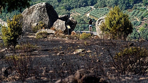 95% of forest fires in Spain are sparked by human actions