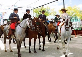 Horses at the fair.