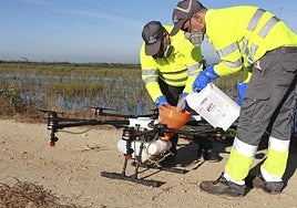 Fumigation of risk areas using a drone.
