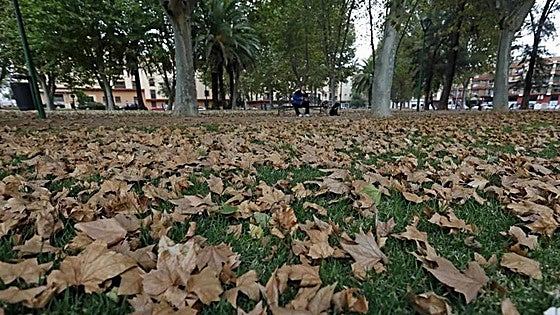 What will the weather be like this autumn in the south of Spain? This is Aemet's forecast