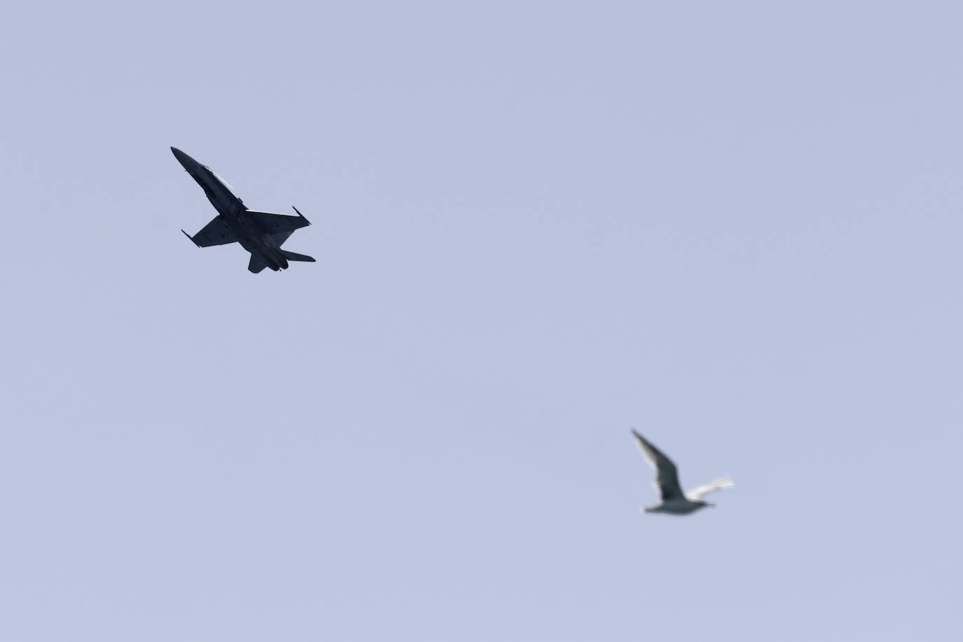 International Torre del Mar Air Show 2024 on the Costa del Sol, in pictures