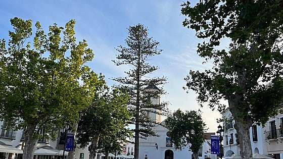 Two companies bid for contract to renovate iconic Costa del Sol landmark