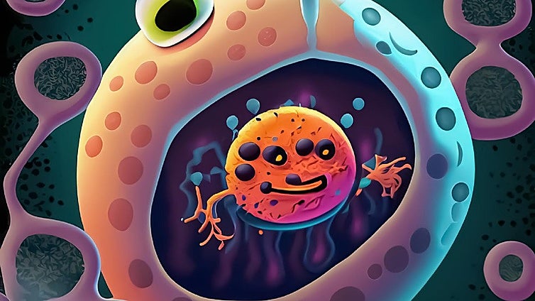 What is autophagy and why it can help you age better?