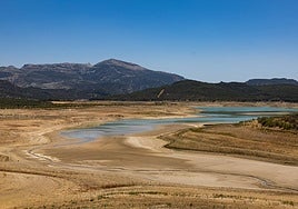 Image of the tail of the Guadalteba reservoir this summer
