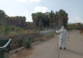 Fumigation works against the spread of mosquitoes in Alhaurín de la Torre.