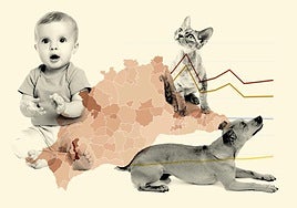 Pets twice outnumber children in 86 of the 103 municipalities across Malaga province, and this is why...