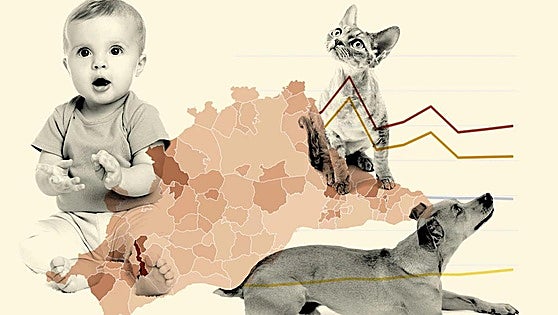 Pets twice outnumber children in 86 of the 103 municipalities across Malaga province, and this is why...