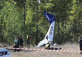 Emergency services at the scene of the plane crash.