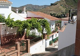 A large part of the centre is full of houses that are only a few decades old.