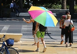 A person takes shelter from the sun in a Malaga park.