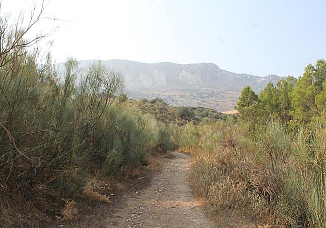 Last metres of the proposed route