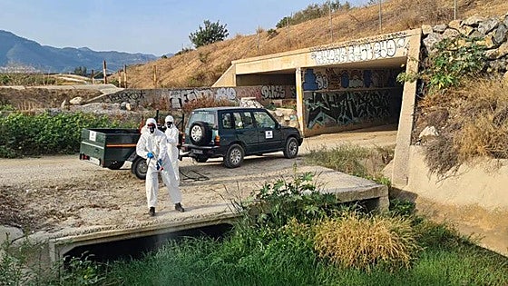 These are the measures being implemented to combat spread of mosquito-borne West Nile virus in Malaga town