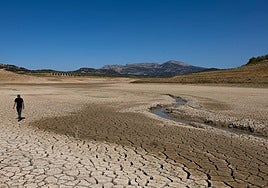 The Guadalteba reservoir, this summer.