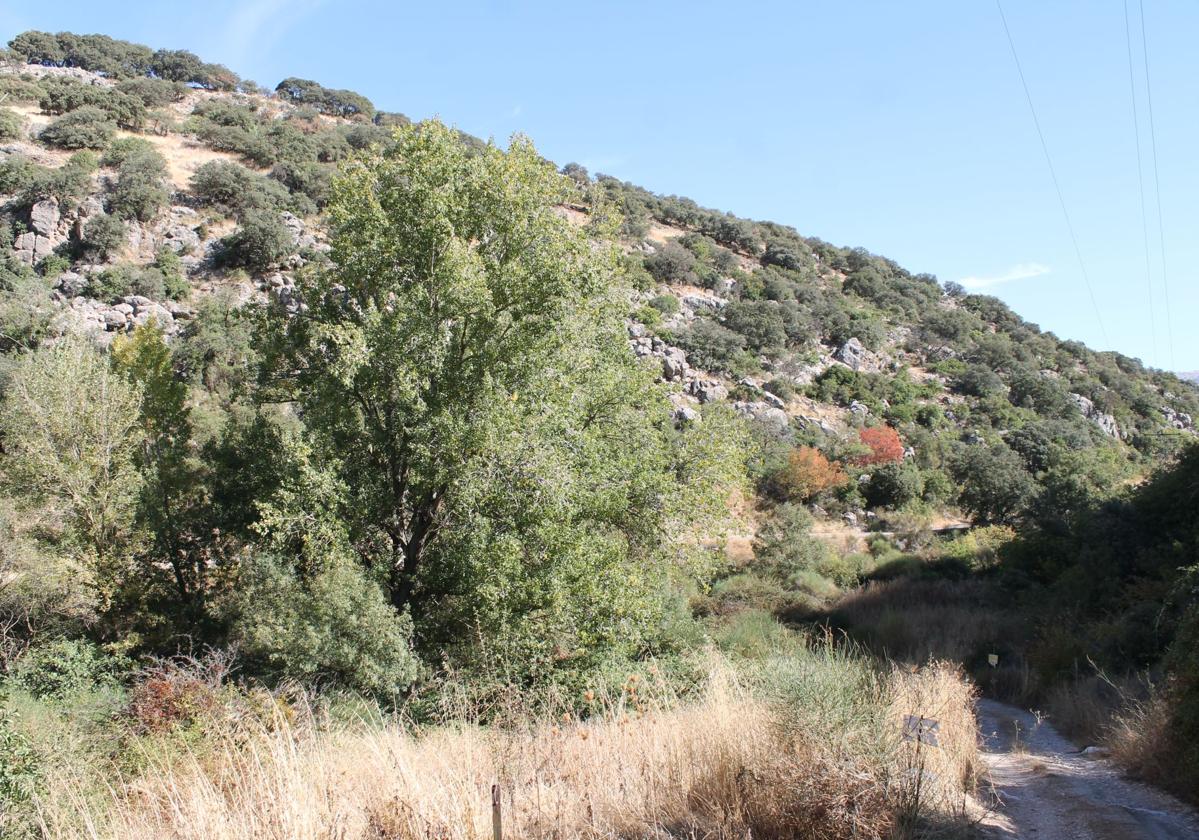 The area in Granada province where the Guadalhorce river is officially recognised as originating.