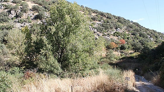 Where is the true source of the Guadalhorce river, considered the most important in Malaga province?