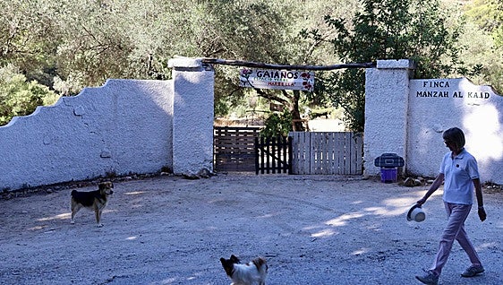 Town hall starts eviction process of Puerto Rico squatters in Marbella