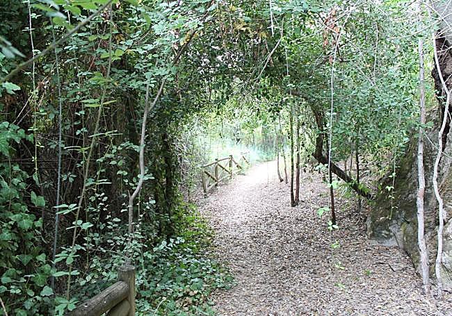 Part of the route is lush with vegetation.