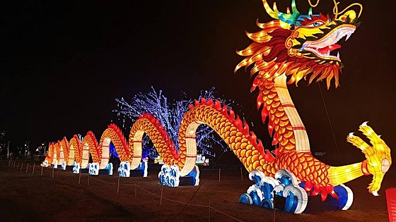 Tickets go on sale for first Malaga lantern festival: when is it on and how much will it cost?