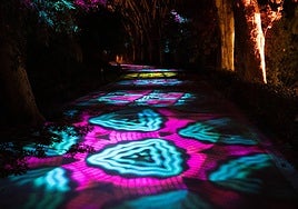 The new show will start on 29 November.