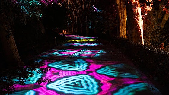 Christmas light and sound show set to wow visitors to Malaga's botanical garden