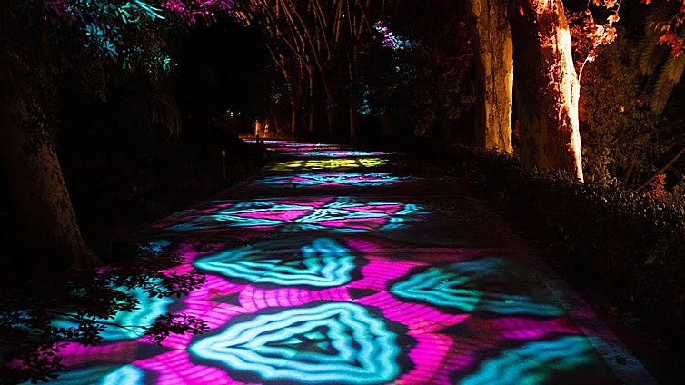 Christmas light and sound show set to wow visitors to Malaga's botanical garden
