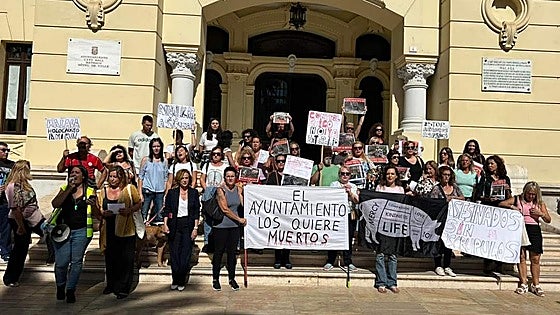 Animal activists oppose using hunters with bows and arrows to cull wild boar in Malaga province