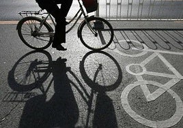Woman ordered to pay 9,613 euros to cyclist attacked by dog on cycle path in Spanish town