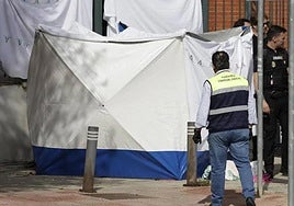 Emergency services at the scene.