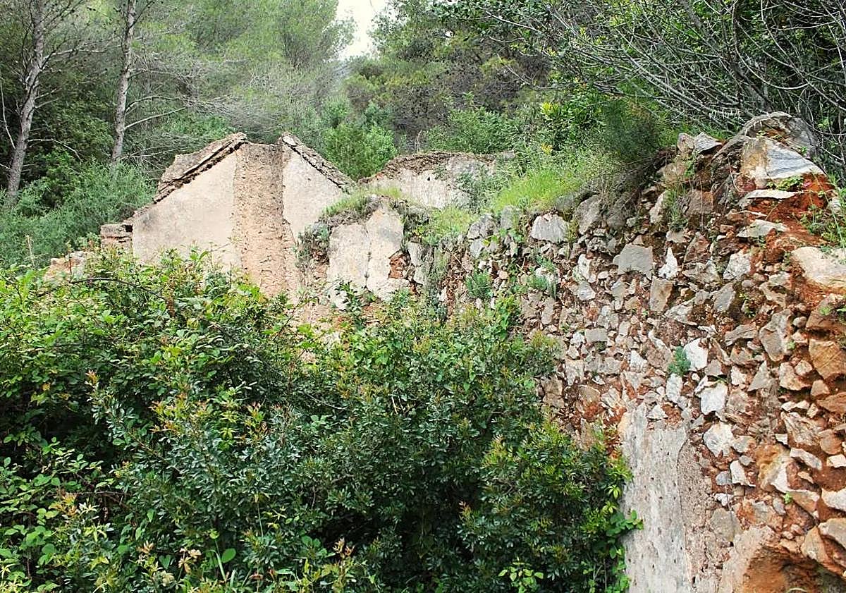 Imagen principal - A walk to a sanctuary hidden in the woods of Marbella