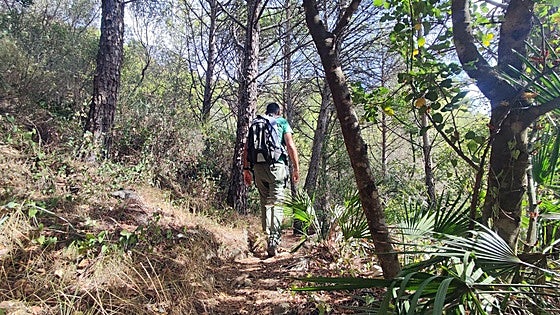 A hike in the Costa del Sol's Sierra Blanca with views of the Mediterranean Sea