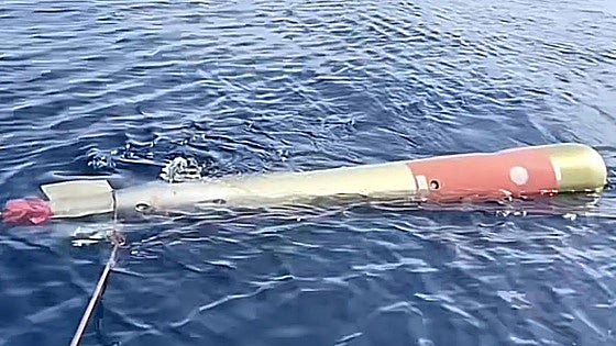 Group of anglers net a Navy torpedo off the Costa Blanca in Spain